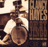 DE 210 album artwork