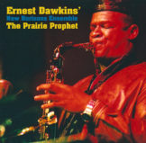 DE 598 album artwork